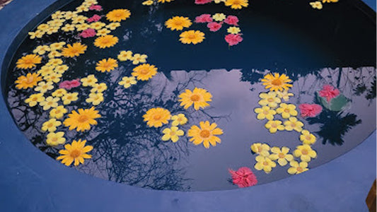 Das WE2 – Wildwood Elegance Escape, Induruwa