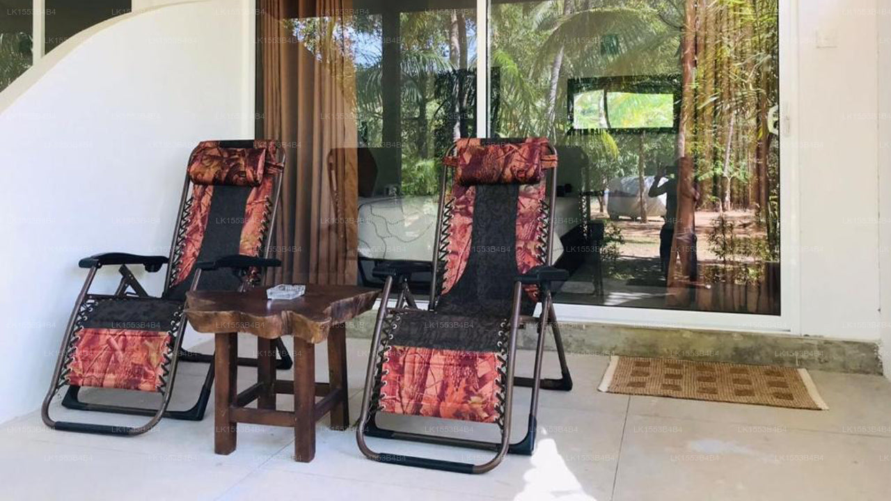 La Dolce Vita, Sigiriya