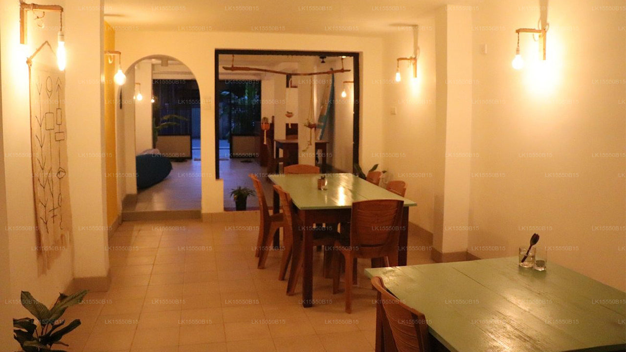 Layback Surf &amp; Yoga Camp, Weligama