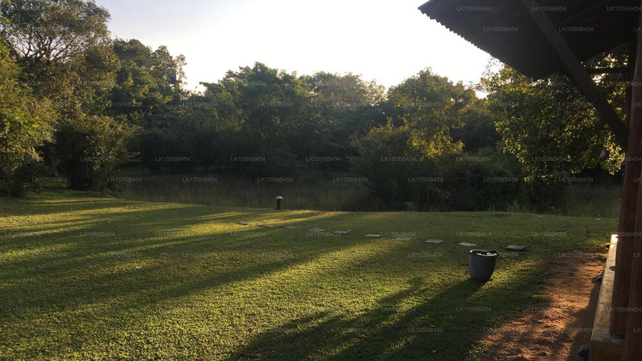 Far Cry Wald-Retreat