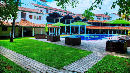 Palmen, Mount Lavinia