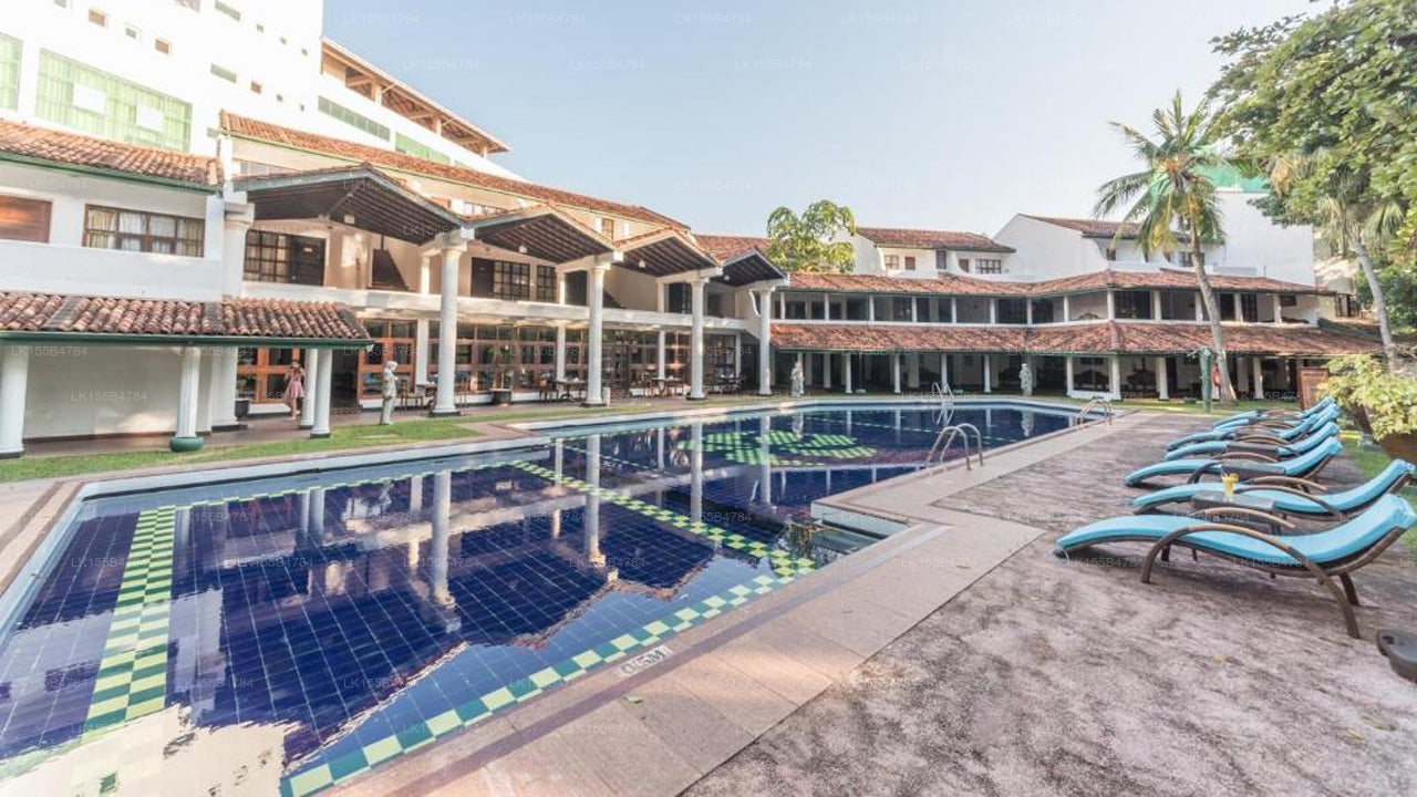 Palmen, Mount Lavinia