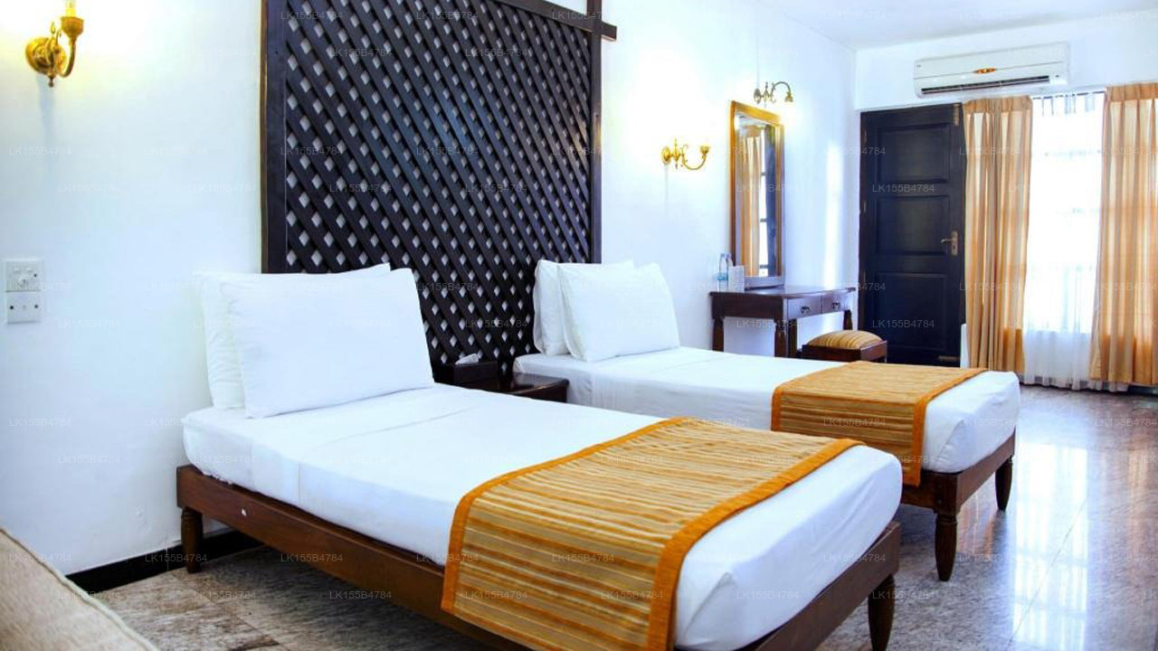 Palmen, Mount Lavinia