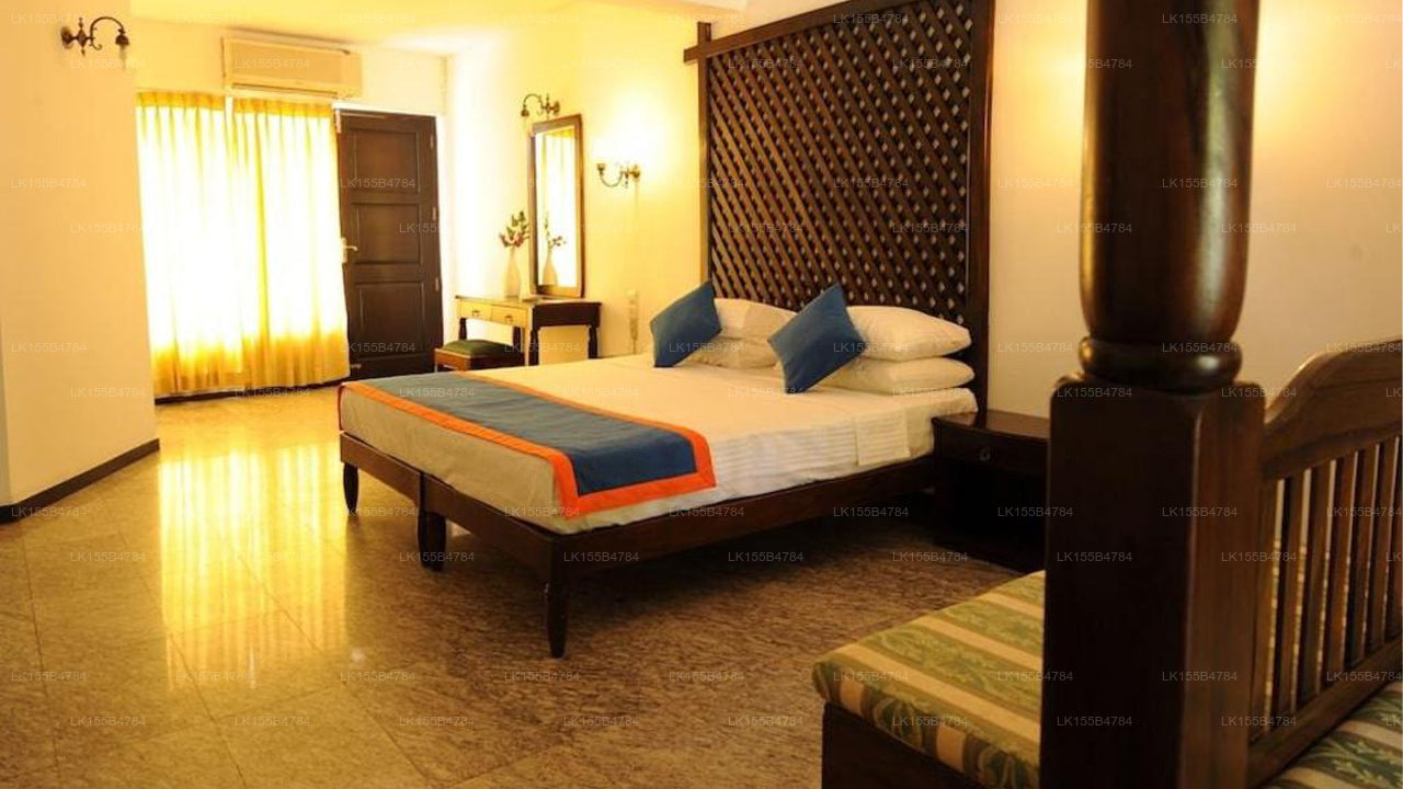 Palmen, Mount Lavinia