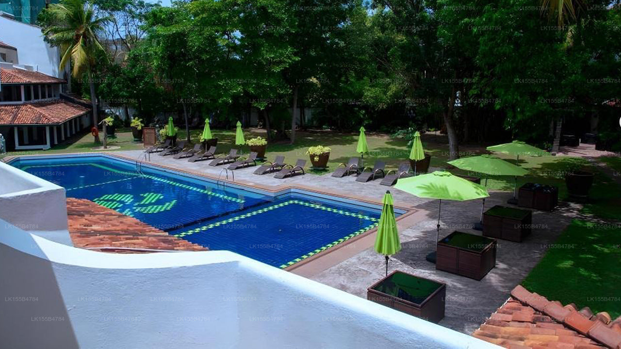 Palmen, Mount Lavinia