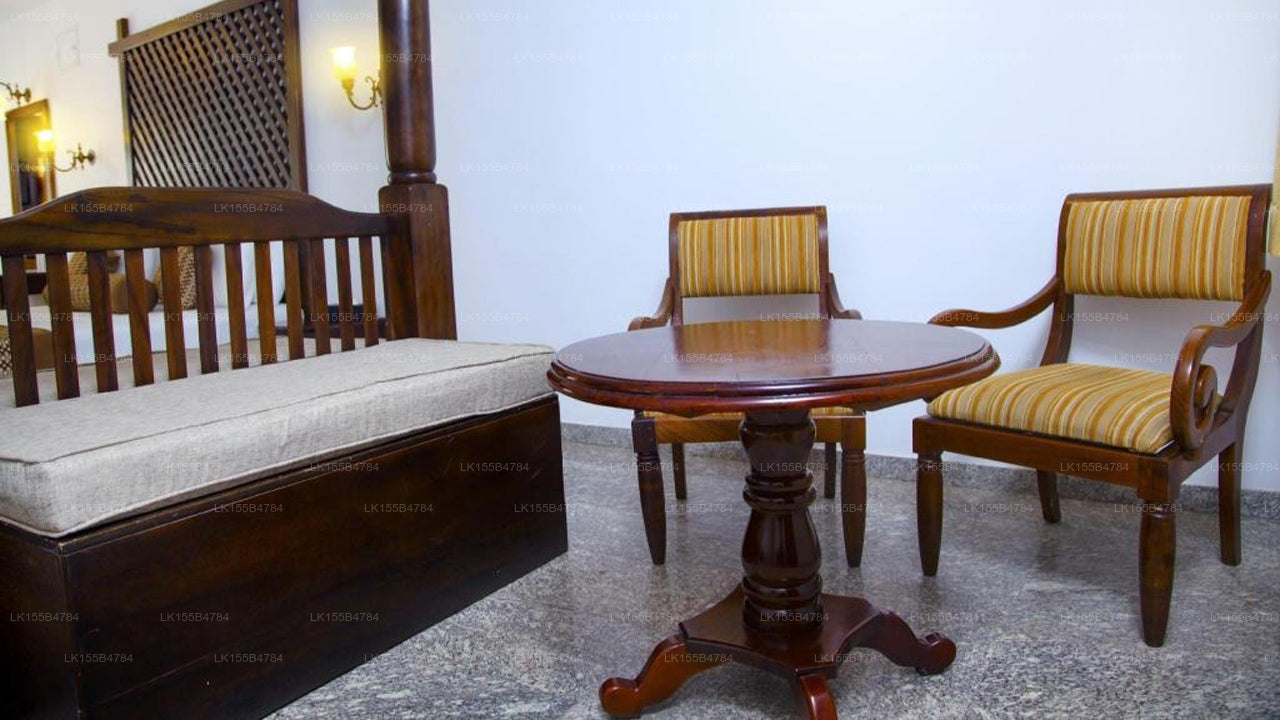 Palmen, Mount Lavinia
