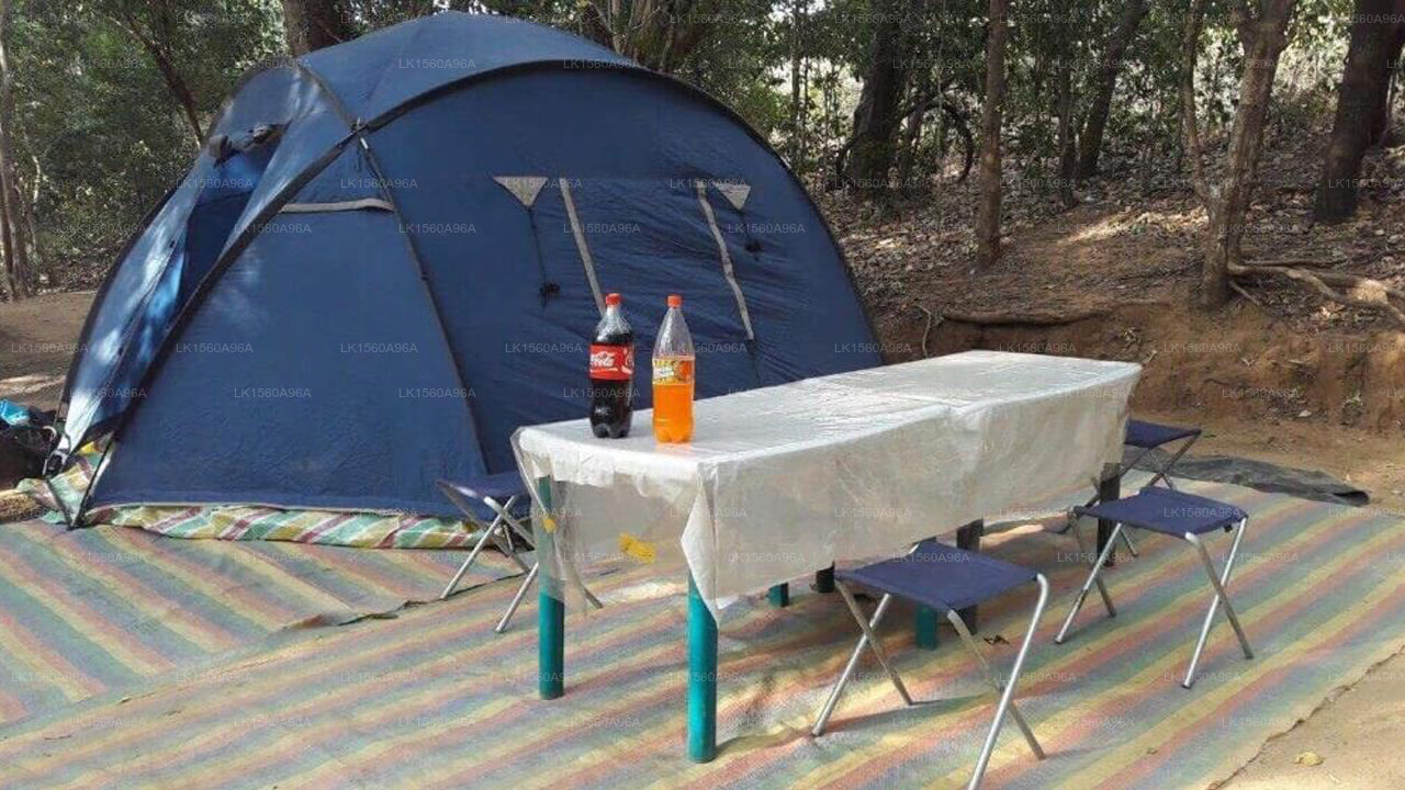 Udawalawe Wildlife &amp; Nature Protection, Udawalawe