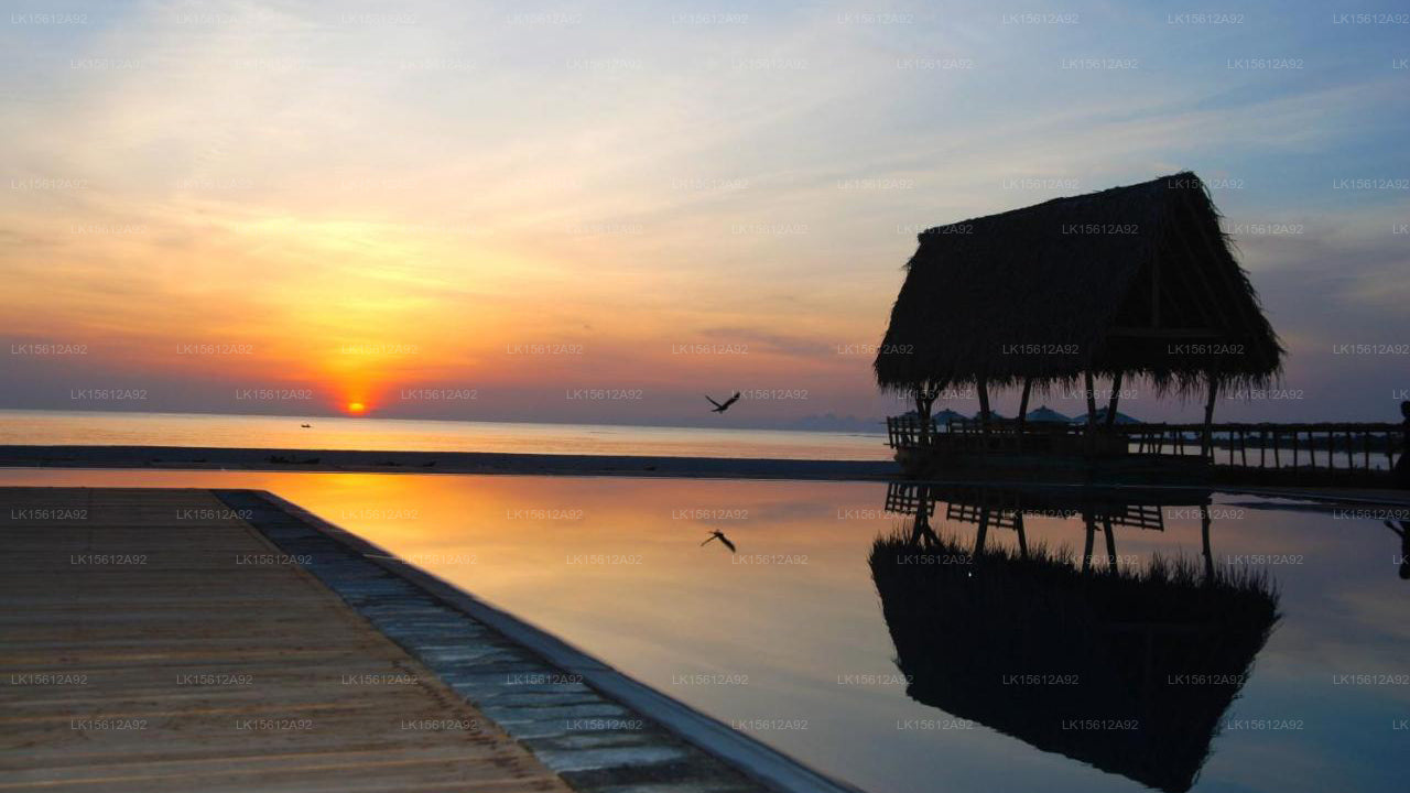 Maalu Maalu Resort &amp; Spa, Pasikuda