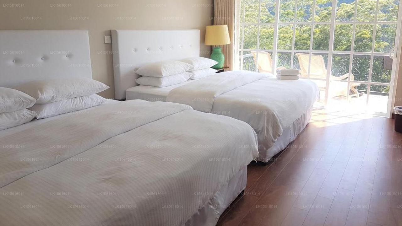 Luxuriöse Wildnis, Nuwara Eliya