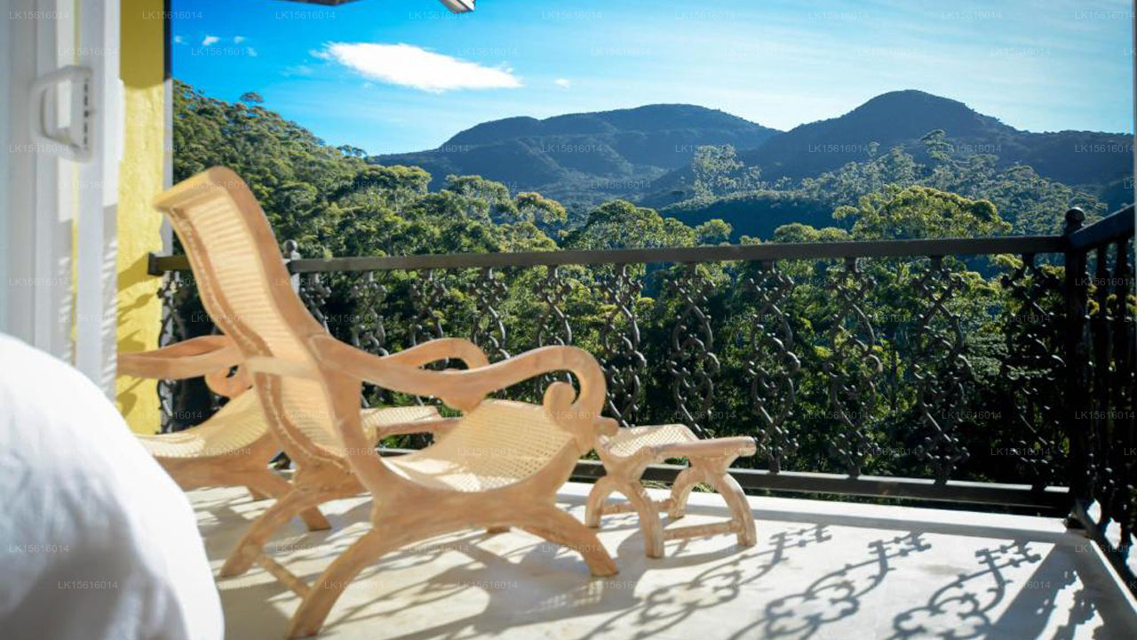 Luxuriöse Wildnis, Nuwara Eliya