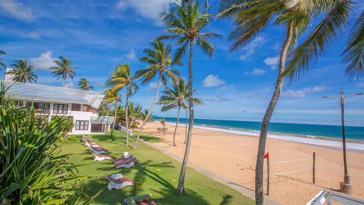 Avenra Beach, Hikkaduwa 