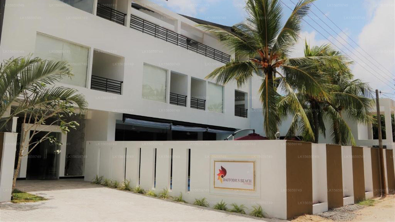 Narzissenstrand, Negombo