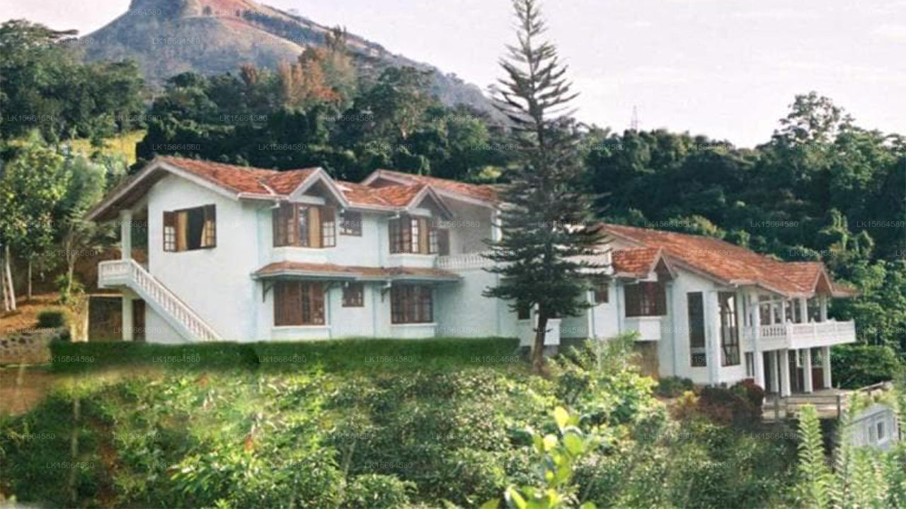 Alcam Ferienhaus, Kandy