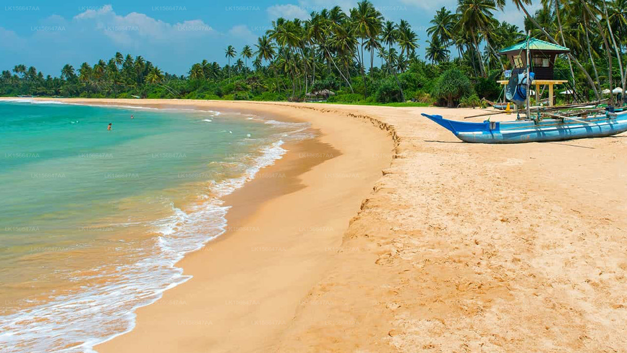 Shinagawa Beach bei Asien, Balapitiya 