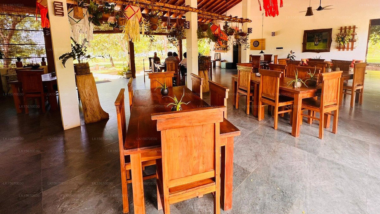 Ruhige Wildnis, Yala