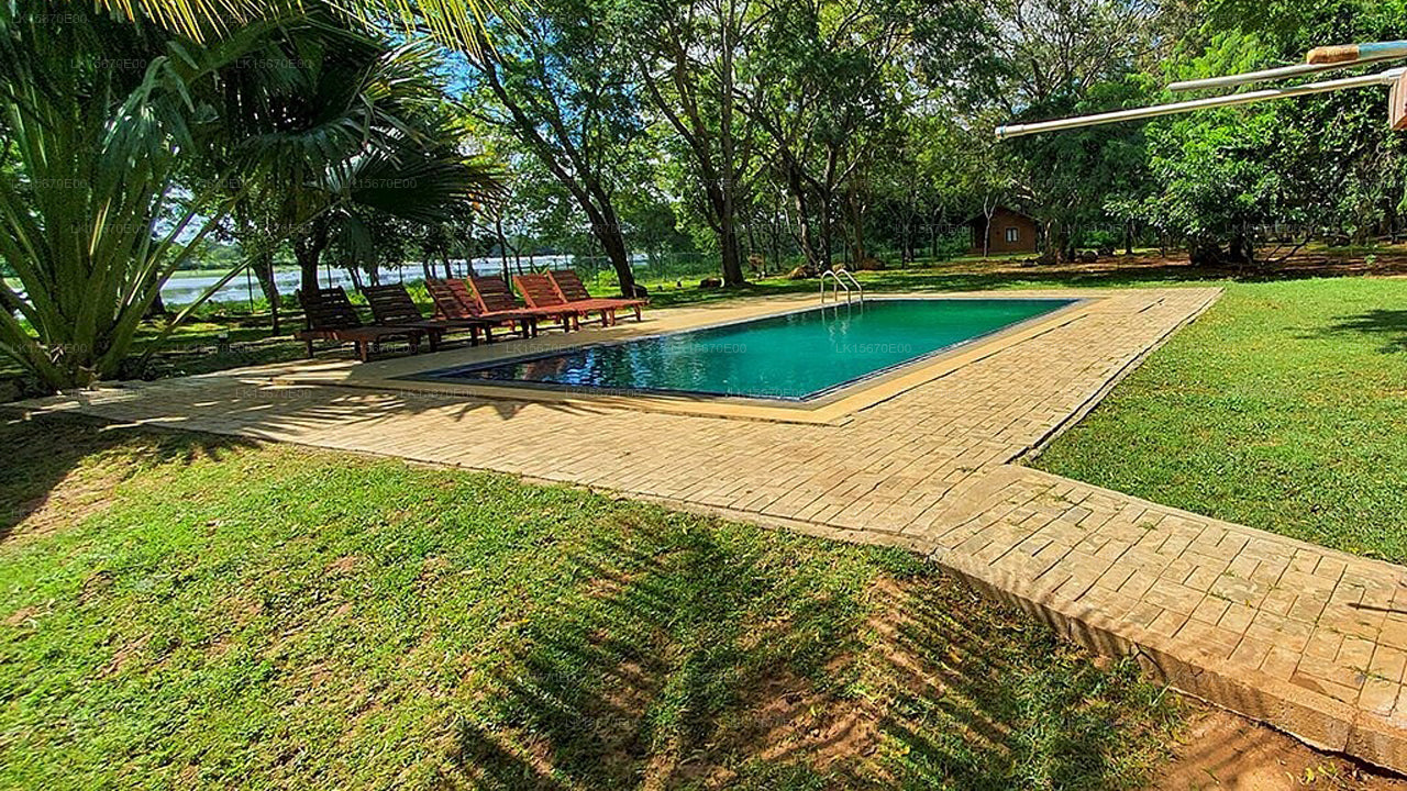 Ruhige Wildnis, Yala
