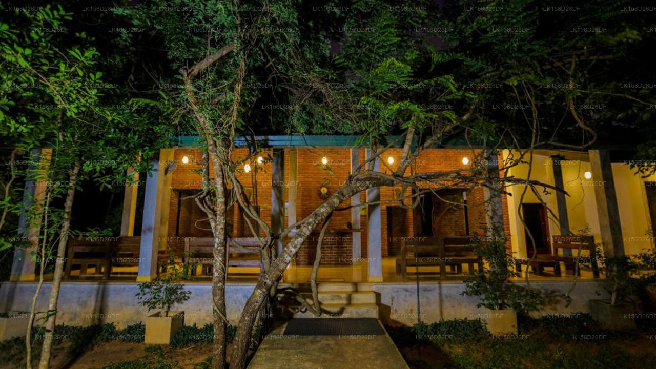 Verstecktes Juwel in Sigiriya – Sigiri Asna Nature Resort