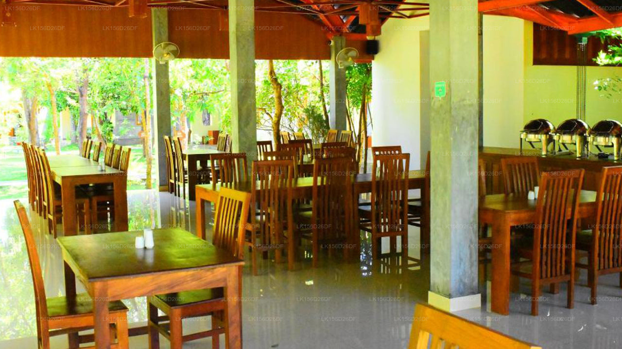 Verstecktes Juwel in Sigiriya – Sigiri Asna Nature Resort