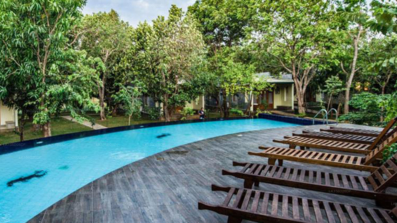 Verstecktes Juwel in Sigiriya – Sigiri Asna Nature Resort