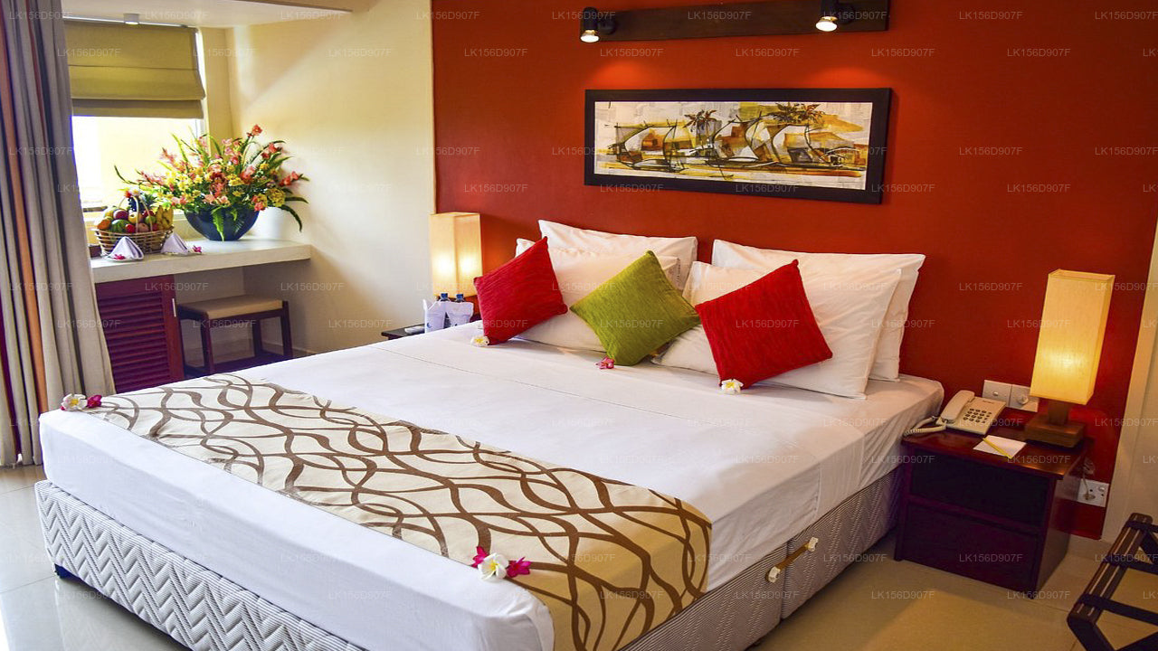 Fisherman's Bay, Weligama