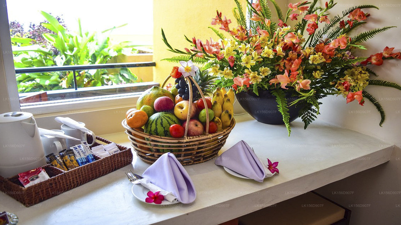 Fisherman's Bay, Weligama