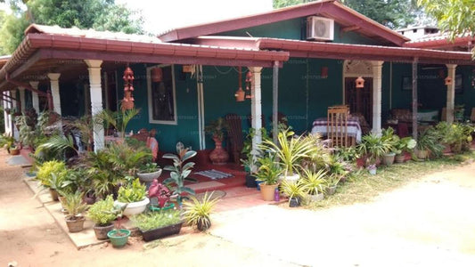Familiennest, Dambulla