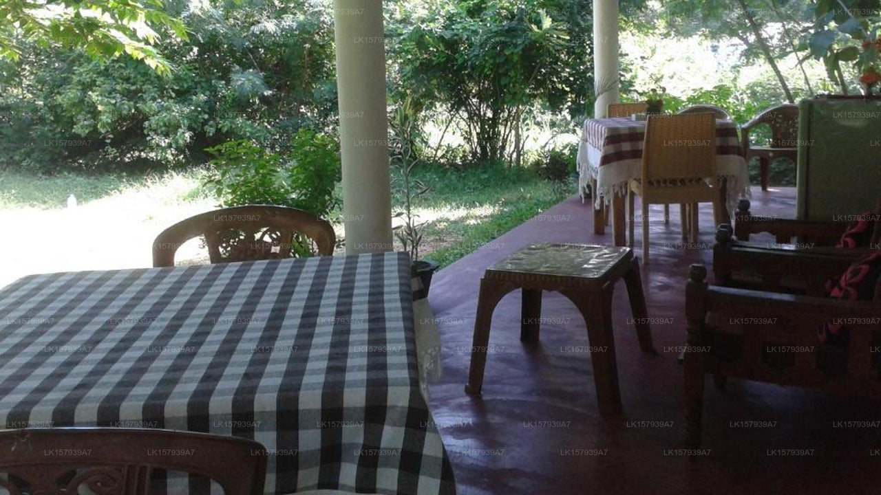 Familiennest, Dambulla