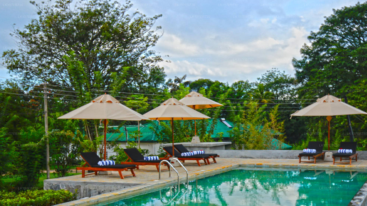 Der geheime Ella Bungalow