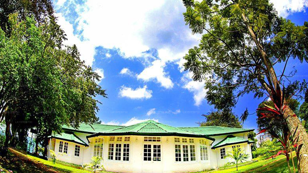 Der geheime Ella Bungalow