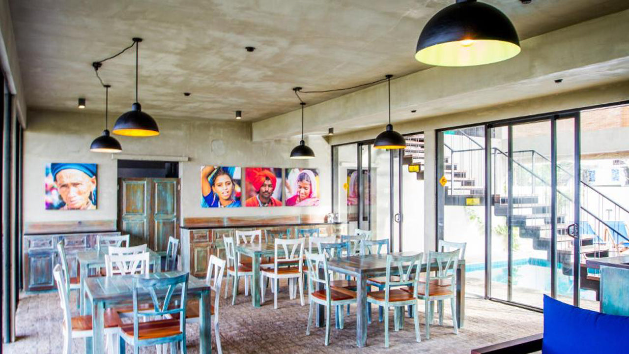 Lazy Koala, Hikkaduwa