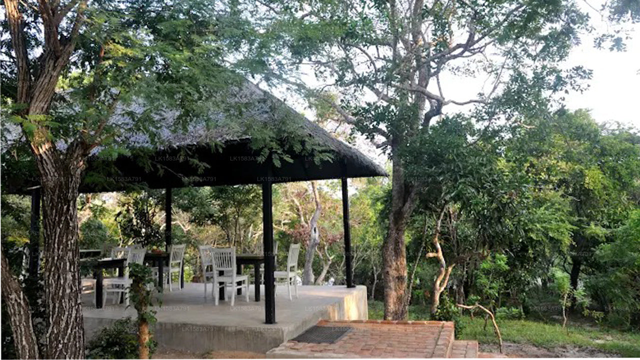 Die Backwaters Lodge, Wilpattu