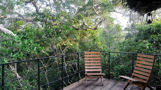 Die Backwaters Lodge, Wilpattu