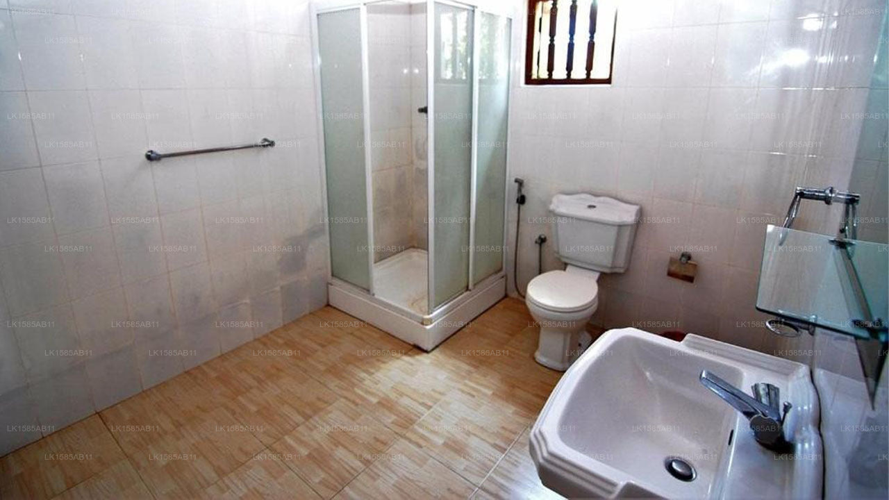 Mangrovenvilla, Bentota