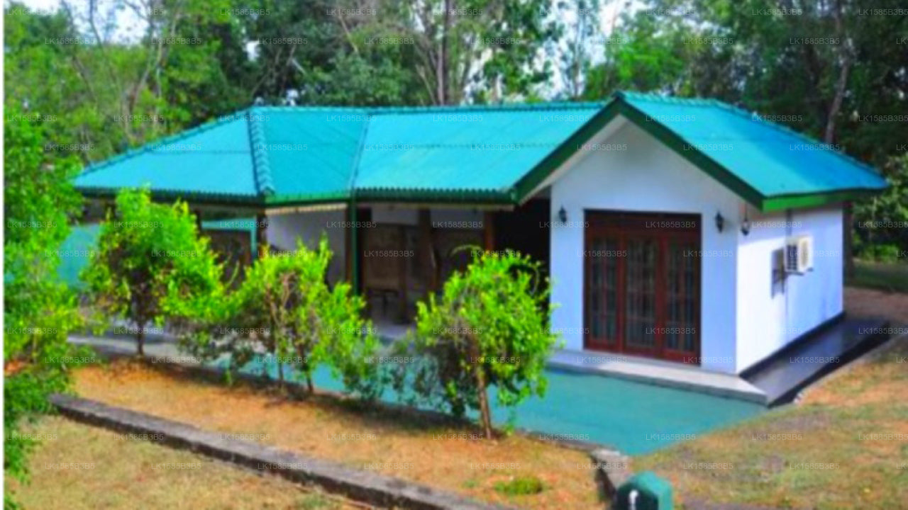 Ran Hiru Familienbungalow, Minneriya 