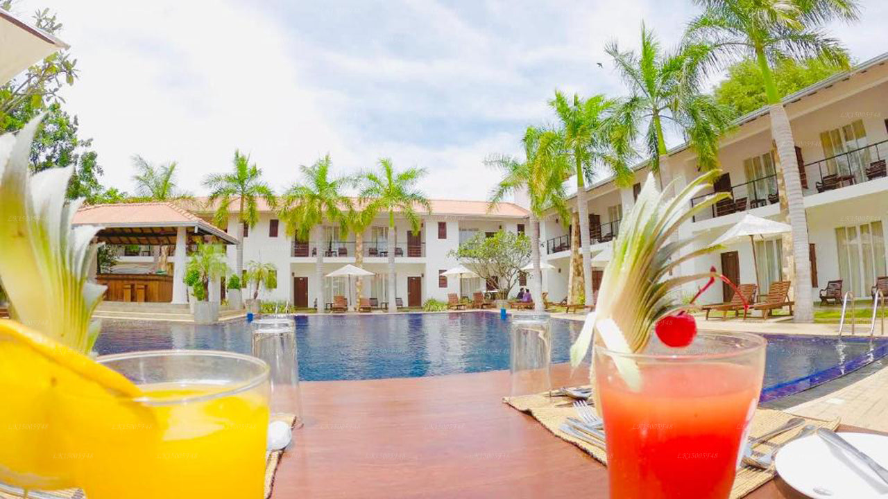 Hotel Tamarind Tree, Tissamaharama 