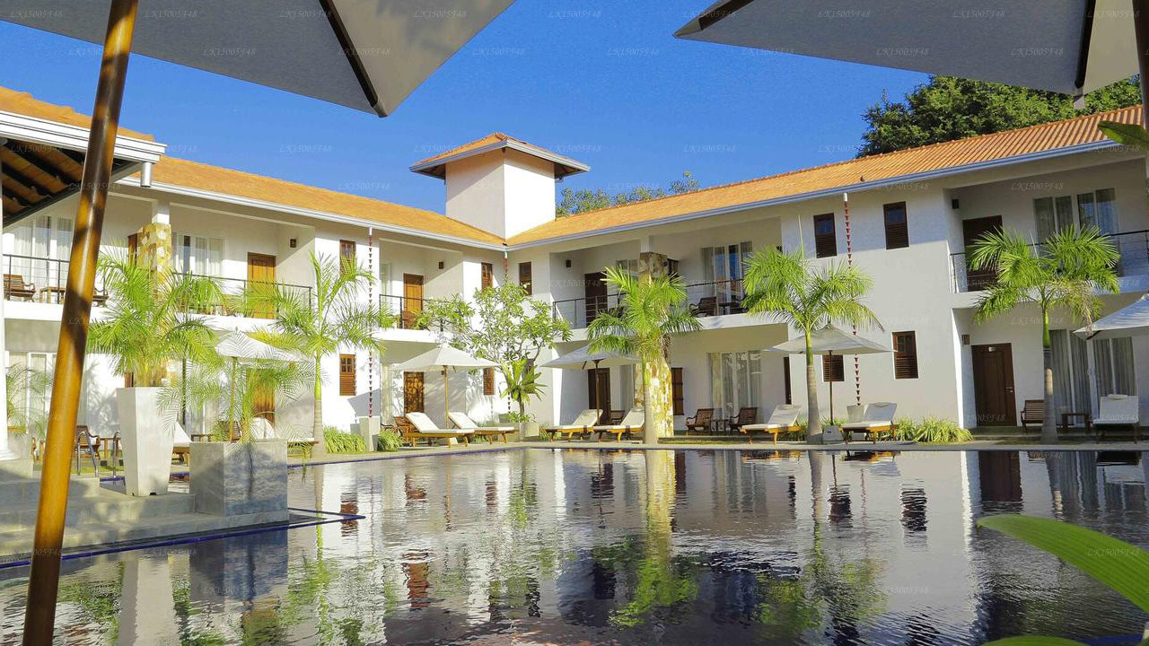 Hotel Tamarind Tree, Tissamaharama 