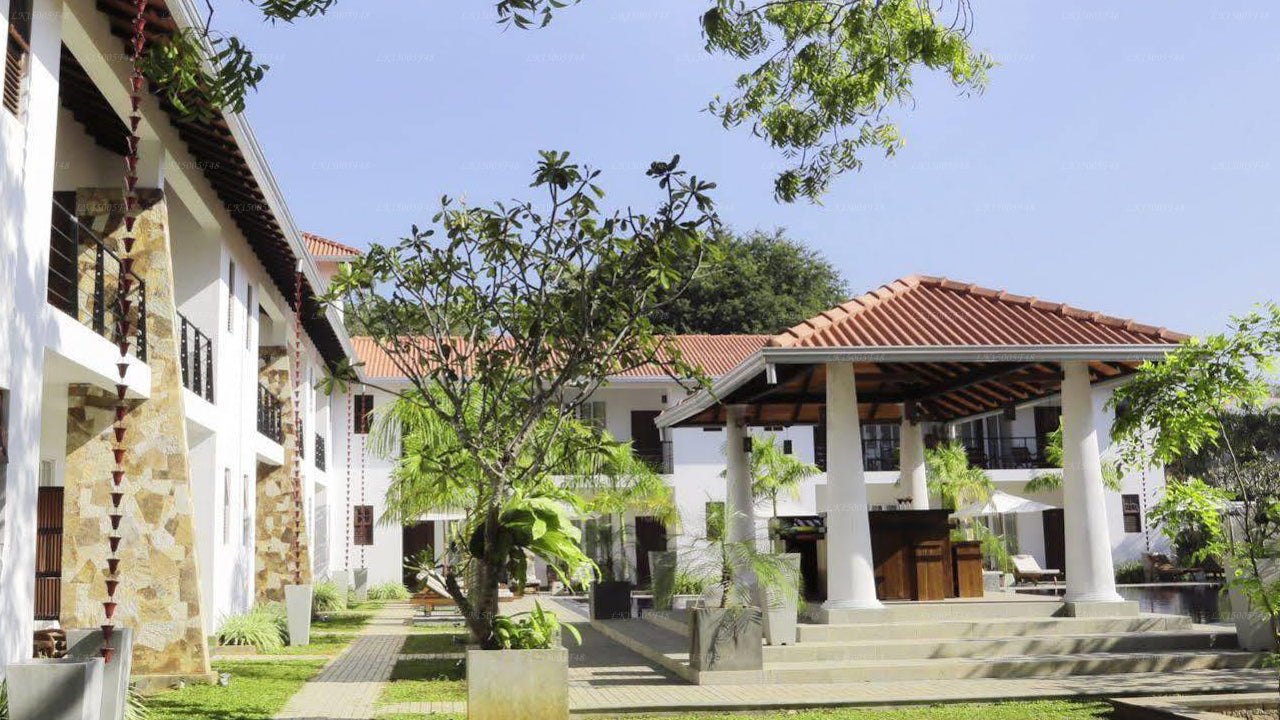 Hotel Tamarind Tree, Tissamaharama 