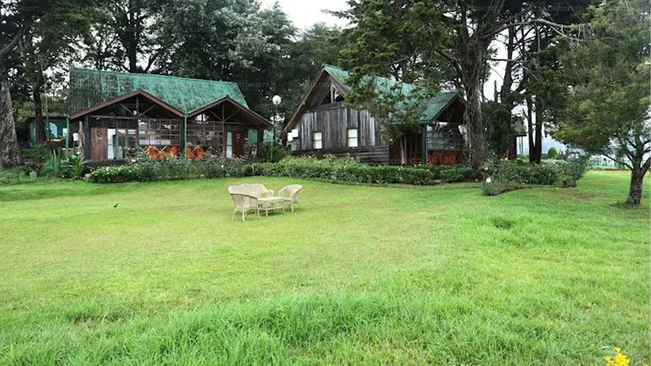 Würfel, Nuwara Eliya