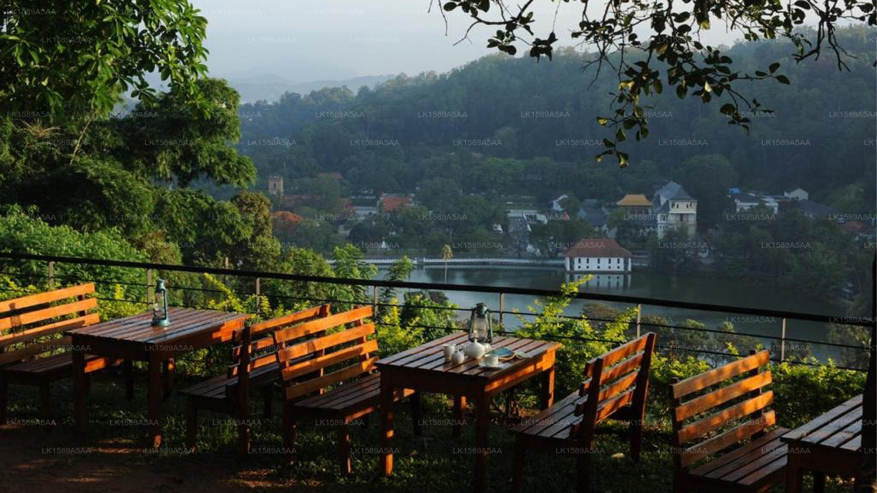 Hotel See, Kandy 