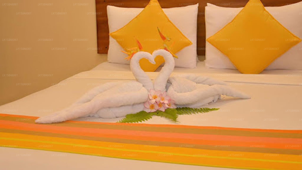 Paradise Holiday Village, Negombo 