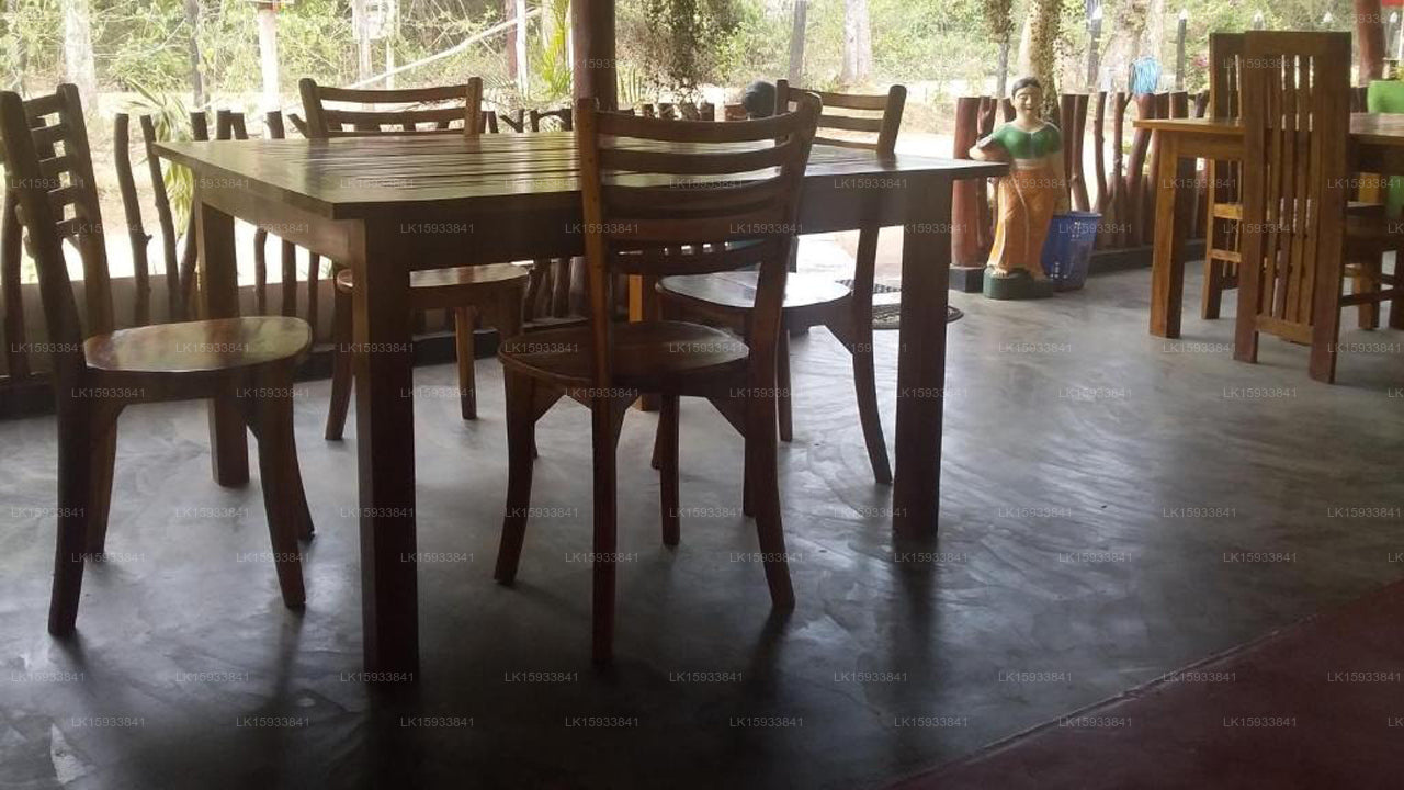 Pidurangala Tree House Hostel Sigiriya