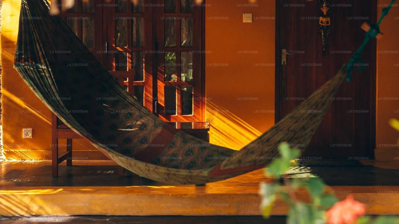 Surf n Sun - Arugambay Gästehaus