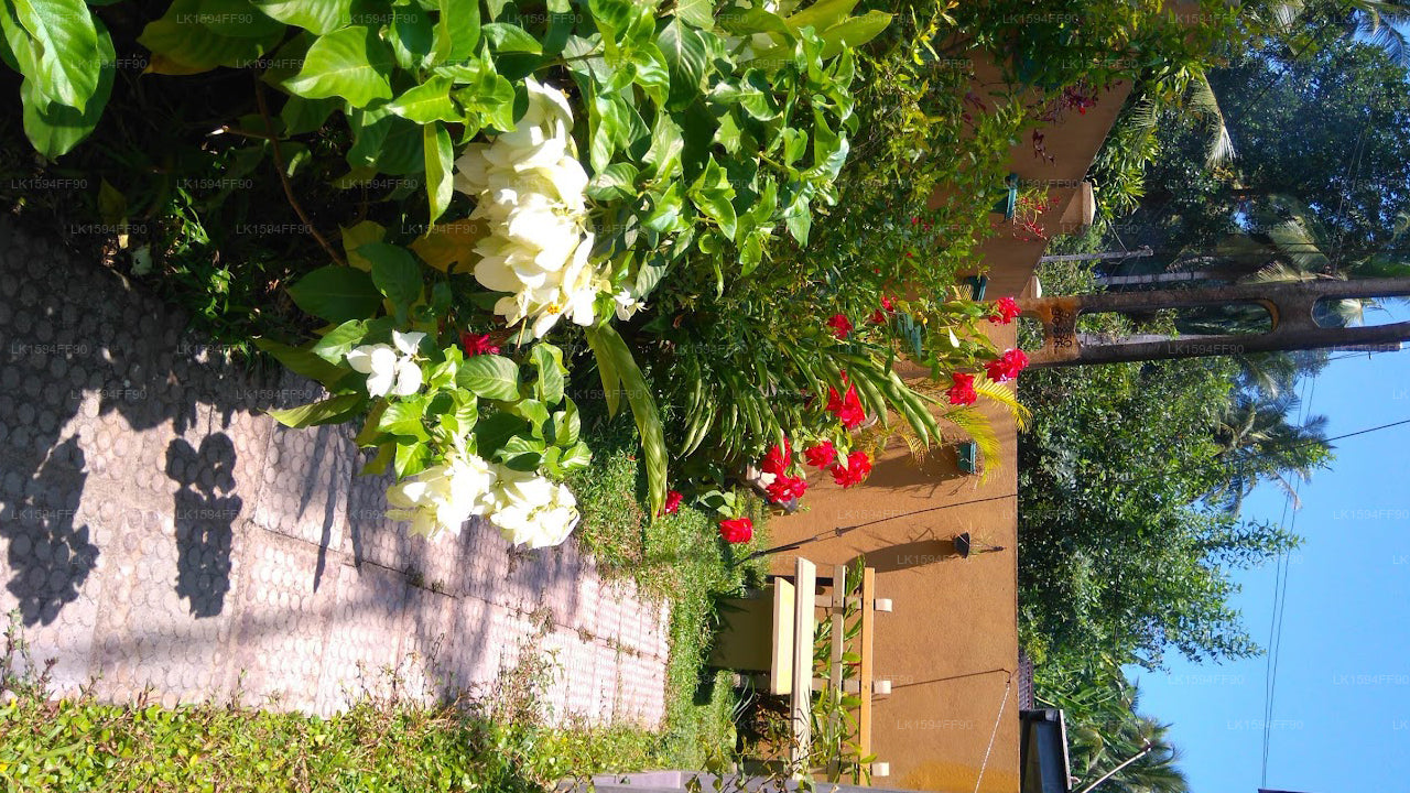 Villa Seven Panadura Sri Lanka