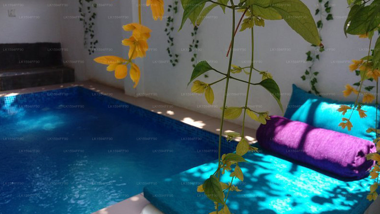 Villa Seven Panadura Sri Lanka