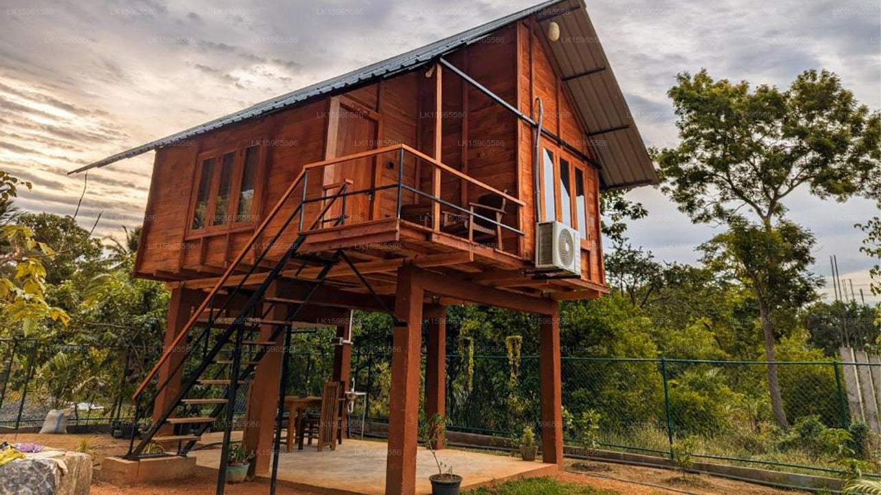 Baumhaus aus Löwenholz, Sigiriya