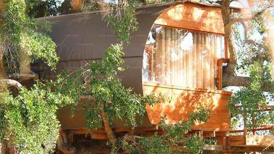 Leopardennest, Yala