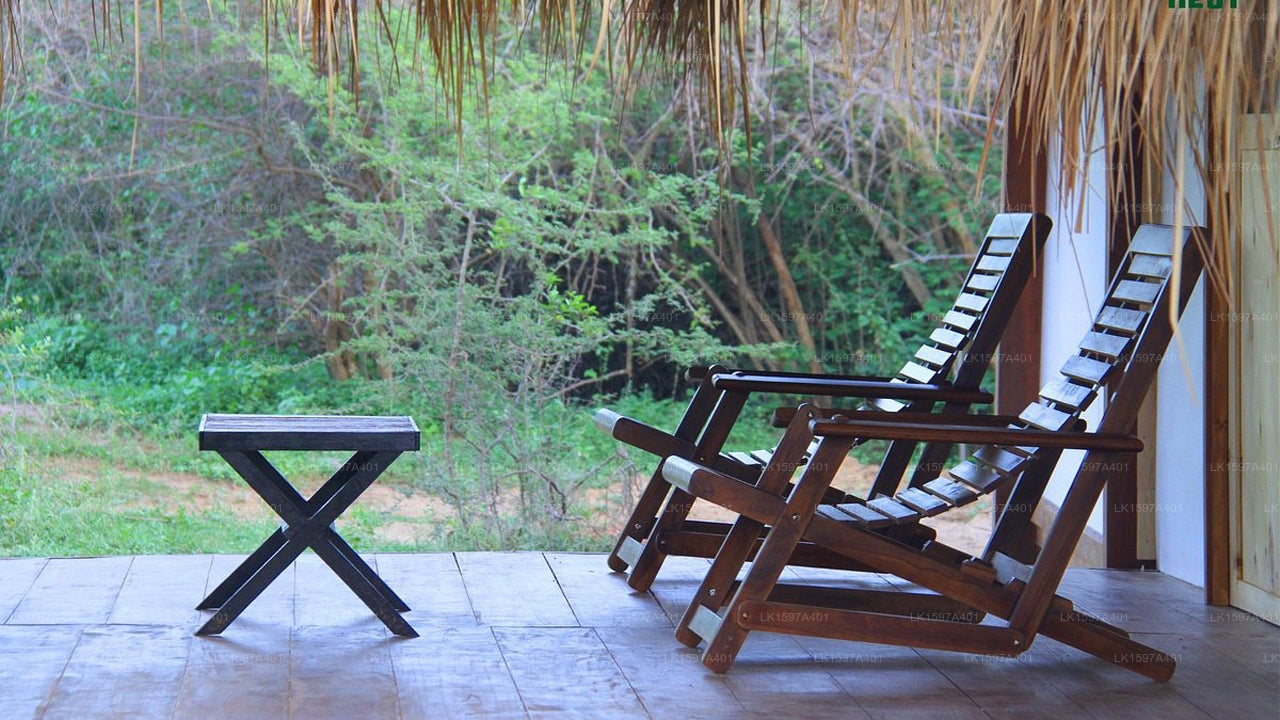 Leopardennest, Yala