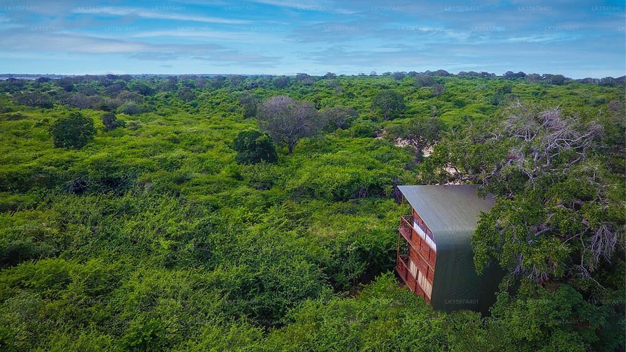 Leopardennest, Yala