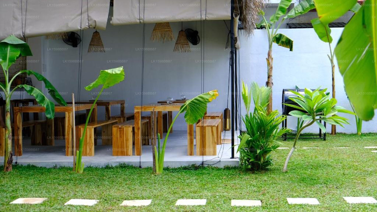 OASIA – Boutique Surf House, Weligama