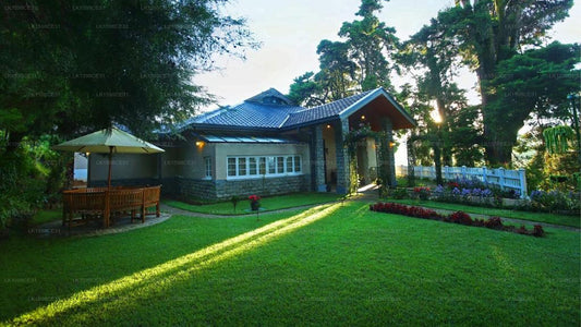 Die Tannen, Nuwara Eliya